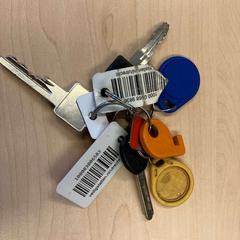 Klucze, zgłoszono przez Gemeente Stichtse Vecht przy użyciu iLost