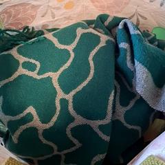 İLost kullanarak Keukenhof tarafından bildirildiği gibi Şal