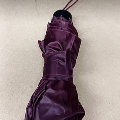 Paraugas Donker rood, segundo informou Qbuzz GD Groningen Peizerweg usando iLost