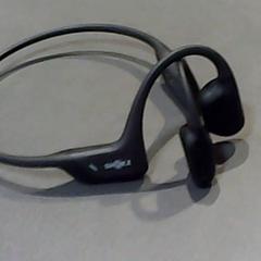 Earphones, as reported by SnowWorld Landgraaf using iLost