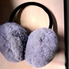 Ohrenwärmer Grå, gemeldet von Keolis Landskrona über iLost