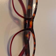 Olvasószemüveg roodbruin, amint azt Gemeente Meierijstad az iLost segítségével jelentette.