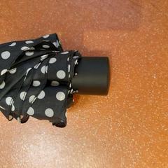 Folding umbrella noir à pois blanc, as reported by TCL using iLost