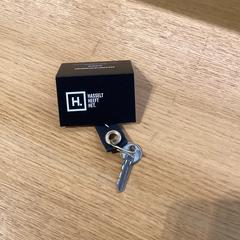 Sleutelbos aan lanyard Zwart, a été signalé par Stad Hasselt utilisant iLost