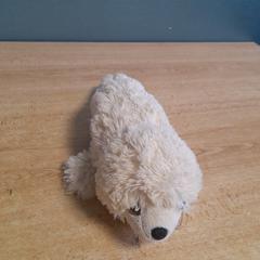 Knuffel zeehond, as reported by Dolfinarium using iLost
