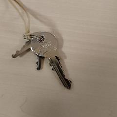 Llave, ha sido reportado por Centraal magazijn con iLost