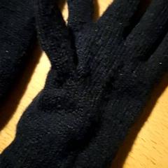 Hansker Zwart, som rapportert av Attractie- & Vakantiepark Slagharen ved bruk av iLost