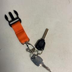 Steutels, gisa salatu by Artis iLost erabiliz