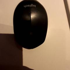 Ratolí, segons ha informat Campus Den Haag mitjançant iLost