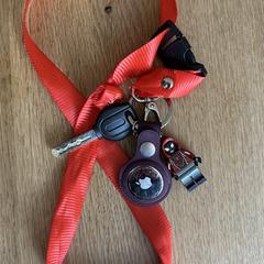 Key with AirTag, Lego figure and lanyard, as reported to iLost