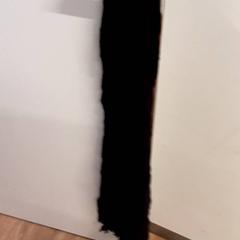 Xal, segundo informou Qbuzz ZHN usando iLost