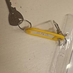 Sleutel، كما تم الإبلاغ عنه بواسطة GVB عبر iLost