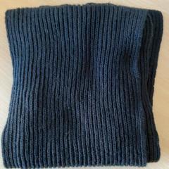 Xal, segons ha informat Schönbrunn "Group Center" mitjançant iLost