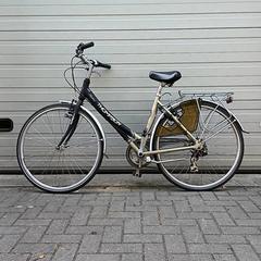 Kolo Thompson Zwart goud, jak nahlášeno Fietsdepot Hasselt pomocí iLost