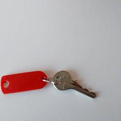 Nøkkel, som rapportert av Regio Limburg - Leuven ved bruk av iLost