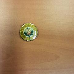 Pinnetje Metaal, geel // metal, yellow, rapporterat av Vrije Universiteit Brussel (VUB) med iLost
