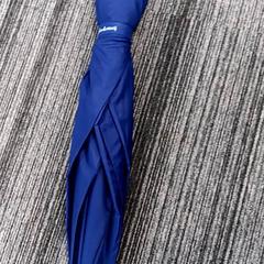 Paraplu, zoals gemeld door Arriva Vechtdallijnen met iLost