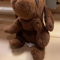 Knuffel Bruin, som rapportert av Familie Resort Molenwaard ved bruk av iLost