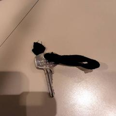 Clé, a été signalé par LUMC utilisant iLost