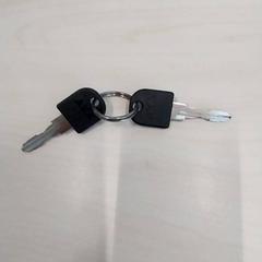 Key sleutels, as reported by Arriva Limburg Zuid using iLost
