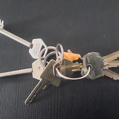 Sleutelbos, iLost-i jakinarazi zaion moduan