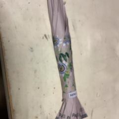 Ombrello, come riportato da Artis utilizzando iLost