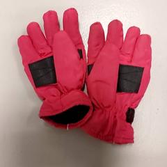 Clothing Handschoenen, as reported by Regio West-Vlaanderen using iLost