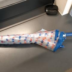 Paraugas, segundo informou Centraal magazijn usando iLost