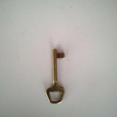 المفاتيح (متنوعة)، كما تم الإبلاغ عنه بواسطة Twisto عبر iLost