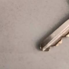 Keys, as reported by De Efteling using iLost