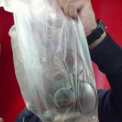 İLost kullanarak MEININGER Hotel Roma Termini tarafından bildirildiği gibi Sunglasses, keys, watch, mix