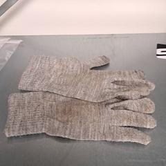 Kesztyű, amint azt Keolis Lund az iLost segítségével jelentette.