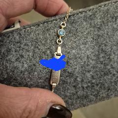 Zilver armbandje, iLost'a bildirildiği gibi