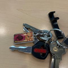 Sleutelbos, ha sido reportado por Jaarbeurs con iLost