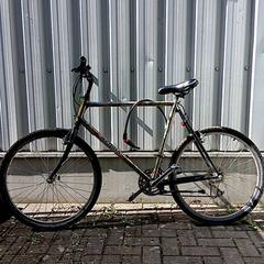 Bicicleta Albon tech DX Groen/goud/roze, ha sido reportado por Fietsdepot Hasselt con iLost
