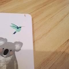 Diari, segons ha informat Beekse Bergen Resorts en Hotel mitjançant iLost