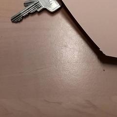 Sleutels がiLostで RET によって報告されました