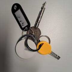 Sleutelbos, som rapporterats till iLost