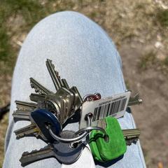 Grasveld bij Maarsseveenseplas, iLost-i jakinarazi zaion moduan