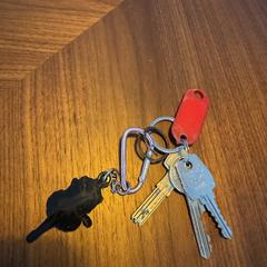 Sleutels, som rapporterats till iLost