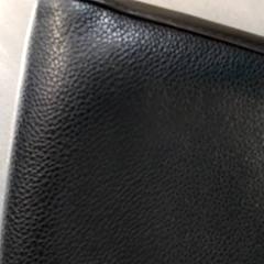 Bossa Zwart, segons ha informat Arriva Friesland / Groningen mitjançant iLost