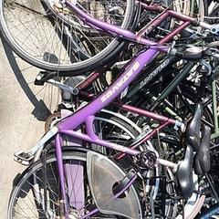 Dámsky bicykel batavus, ako bolo nahlásené Stadswerk072 pomocou iLost