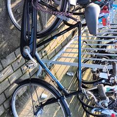 Bicicleta masculina Gazelle, segundo informou Stadswerk072 usando iLost