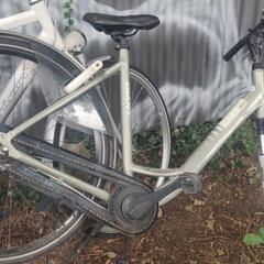 Giant fiets beige, som rapporterats till iLost