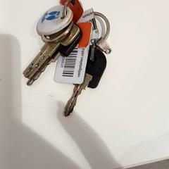 Llave, ha sido reportado por allGo Almere con iLost