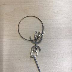 Šperky, jak nahlášeno Gemeente Nijmegen pomocí iLost