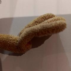 كنوفل، كما تم الإبلاغ عنه بواسطة De Efteling عبر iLost