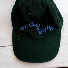 Pet Groen, zoals gemeld door DierenPark Amersfoort met iLost