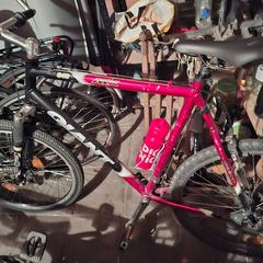 Rode Giant ATX 840 Mountainbike, as reported to iLost