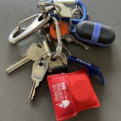 Sleutelbos, ako bolo nahlásené iLost